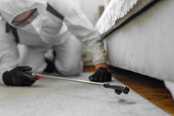 Professional Bed Bug Control technician working in Wesley Chapel, NC