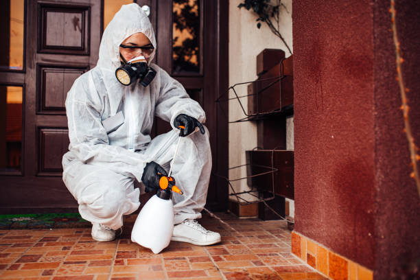 Reliable Bed Bug Control contractor in Wesley Chapel, NC by Nex Pest Control